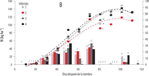 Acumulación
total (kg ha-1) e incremento de absorción de N (dag
kg-1) en la 
época seca (B) del 2016, en cuatro híbridos promisorios de maíz, en función de
la edad.