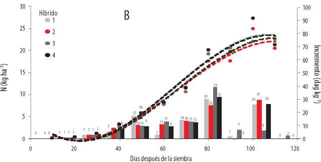 Acumulación
total (kg ha-1) e incremento de absorción de Mg (dag
kg-1) en la época seca (B) del 2016, en cuatro híbridos promisorios
de maíz, en función de la edad.