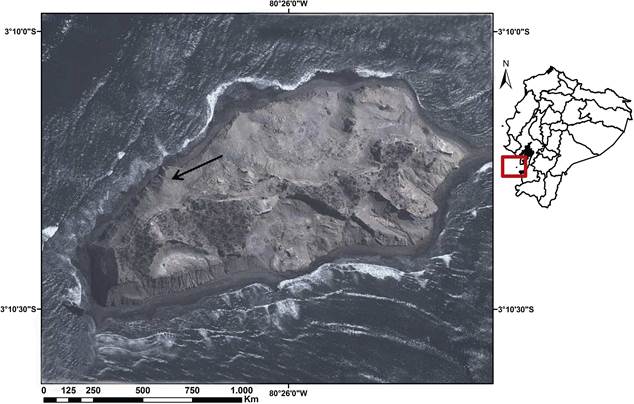 Ubicación de la isla Santa Clara en el golfo de Guayaquil provincia de El Oro Ecuador La flecha indica la zona de registro de anidación de Pelecanus thagus