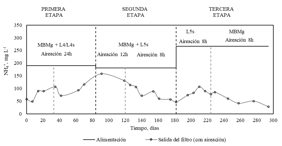 Concentración
de amonio en función del tiempo durante la etapa de aireación. Leyenda: (-)
alimentación con MBMg y L4/L4s/L5s, (   ) salida del filtro (con
aireación).