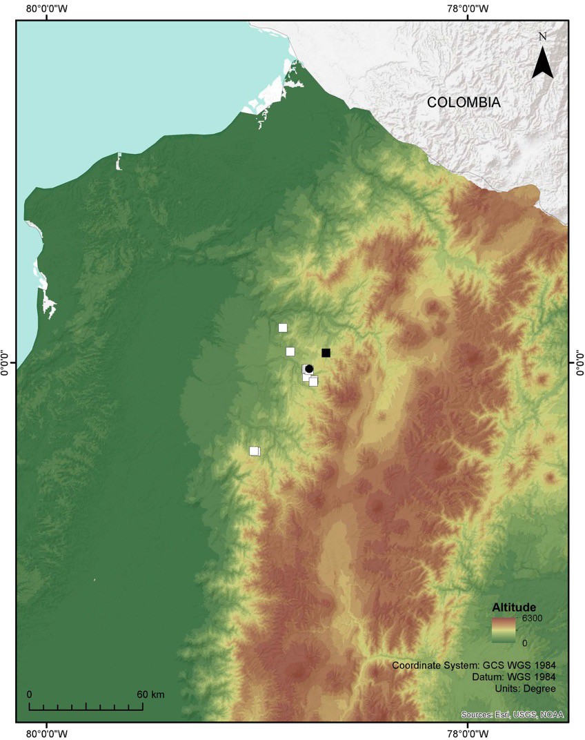 Map of northwestern Ecuador showing the type locality (black square) and other known localities (white squares) of Zoniferella vespera, and the type locality of Z. riveti and Z. riveti var. bizonalis (black circle)