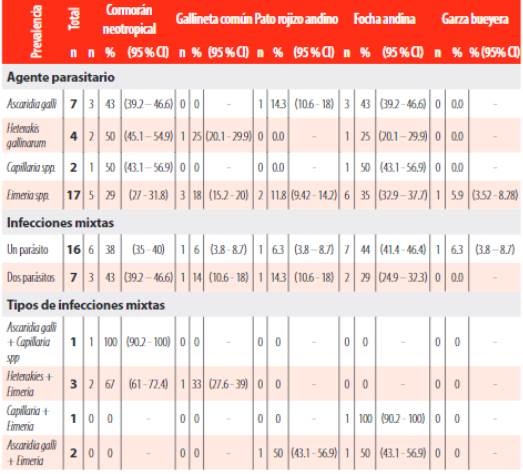 Frecuencia de parasitismo e infecciones mixtas de parásitos gastrointestinales en cinco especies de aves acuáticas de la laguna de Yahuarcocha, Imbabura.