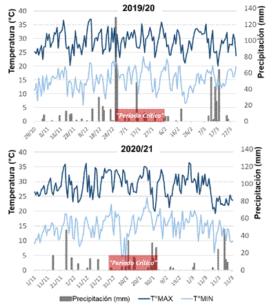 Condiciones climáticas exploradas en las campañas en que se realizó la caracterización del germoplasma. T°MAX: temperatura máxima diaria, T°MIN: temperatura mínima diaria. El rectángulo rojo indica el lapso en el que ocurrió el periodo crítico como promedio de todo el germoplasma evaluado en cada año.