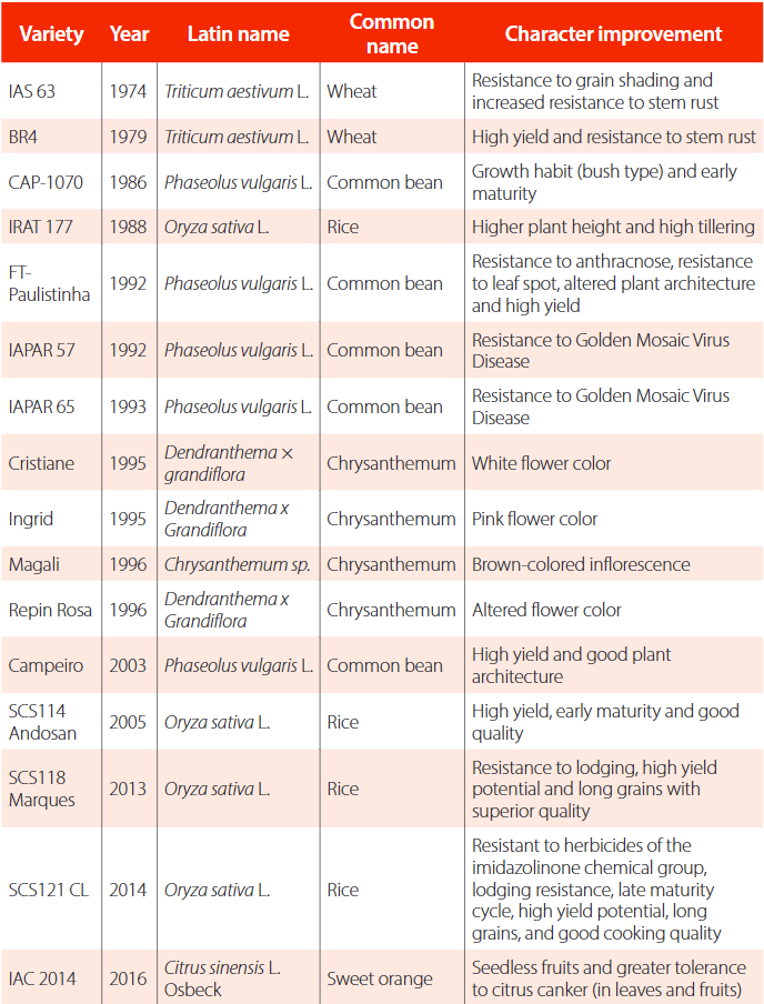 Genotypes obtained through induced mutations in Brazil (March 8, 2025, FAO/IAEA MVD)