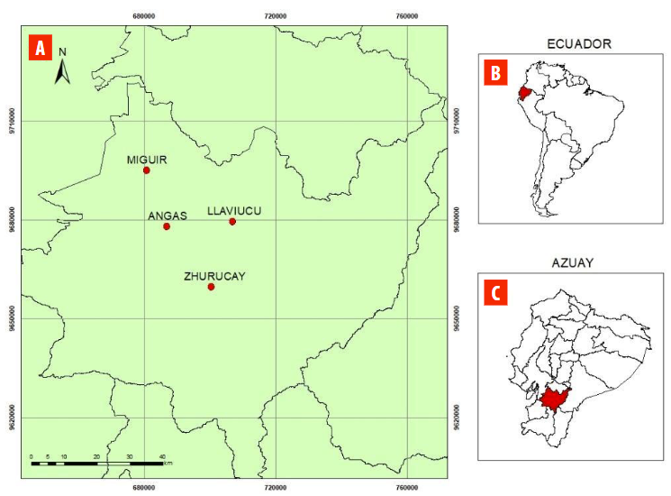 Mapa del área de estudio: A) Ubicación de los cuatro sitios para el monitoreo de densidad de madera en bosques altoandinos de los Andes occidentales, B) ubicación de Ecuador dentro de Sudamérica y C) Ubicación de la provincia del Azuay en el Ecuador.