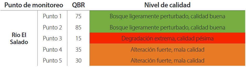 Índice de calidad de bosque de ribera del río El Salado, cantón Yacuambi