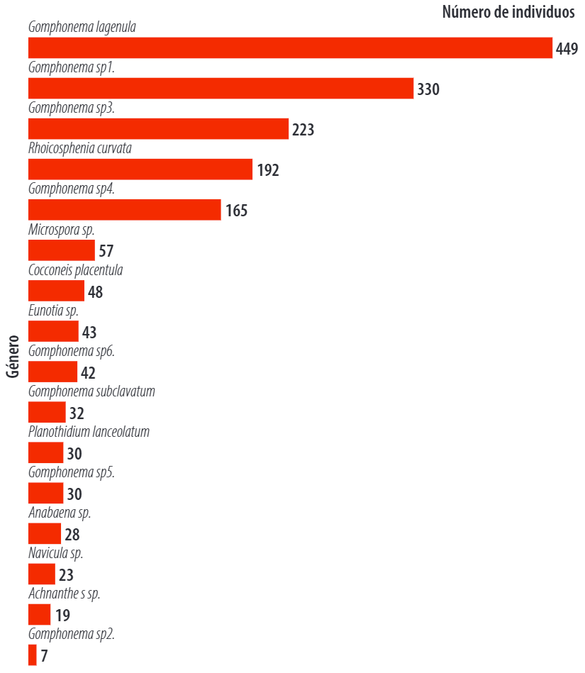 Abundancia de comunidades fotosintéticas en la quebrada Santa Inés, cantón Yacuambi