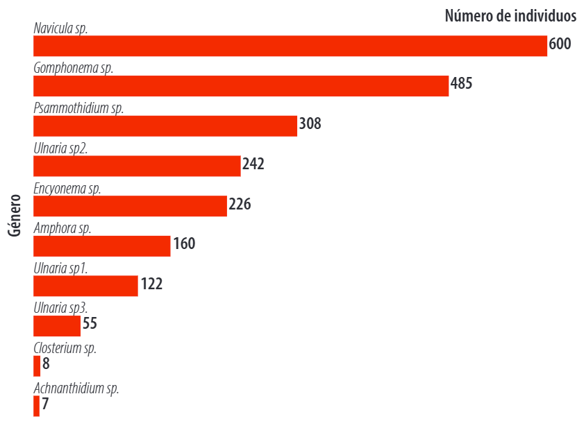 Abundancia de comunidades fotosintéticas río Yacuambi, cantón Yacuambi