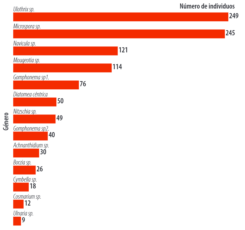 Abundancia de comunidades fotosintéticas río El Salado, cantón Yacuambi