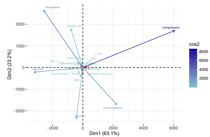 Análisis de componentes principales entre variables bióticas y géneros de organismos fotosintéticos en el río Yacuambi, cantón Yacuambi