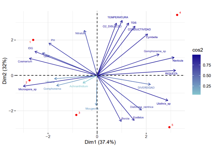 Análisis de componentes principales entre variables bióticas y géneros de organismos fotosintéticos en el río el Salado, cantón Yacuambi