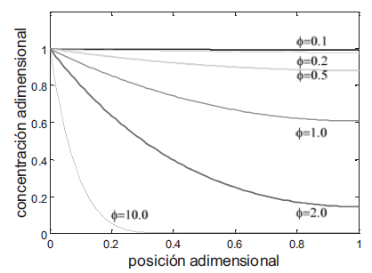 Solución gráfica de la ecuación diferencial del ba lance de masa en el poro