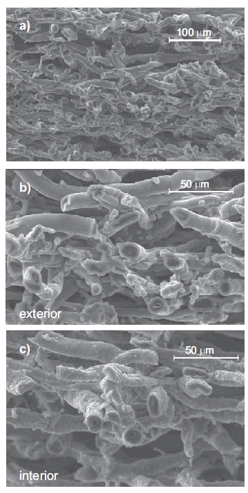 Micrografías con
SEM de las cerámicas biomórficas de Si/SiC obtenidas con el sistema MTS/H2. a) vista amplia , b) extre- mo exterior, c) centro de la prueba