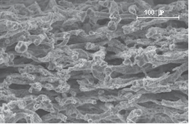 Micrografías con SEM de las cerámicas biomórficas de SiC obtenidas con el sistema SiCl4H2