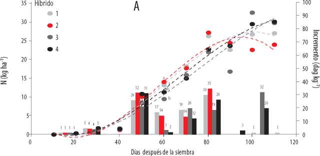 Acumulación
total (kg ha-1) e incremento de absorción de P (dag
kg-1) en la época lluviosa (A) del 2016, en cuatro híbridos
promisorios de maíz, en función de la edad.