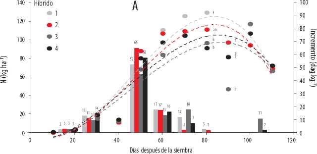 Acumulación
total (kg ha-1) e incremento de absorción de K (dag
kg-1) en la
época lluviosa (A) del 2016, en cuatro híbridos promisorios de maíz, en función
de la edad.