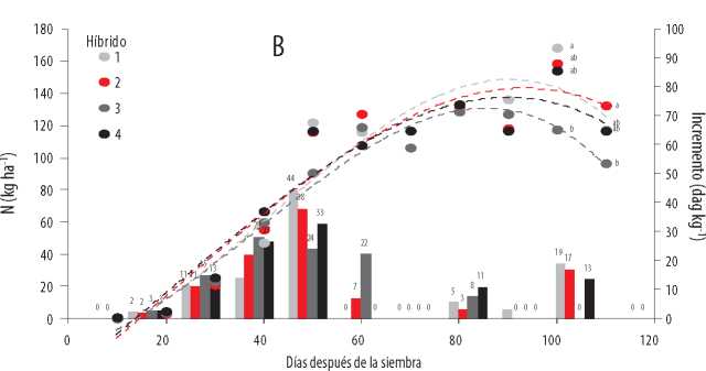 Acumulación
total (kg ha-1) e incremento de absorción de K (dag
kg-1) en la
época seca (B) del 2016, en cuatro híbridos promisorios de maíz, en función de
la edad.