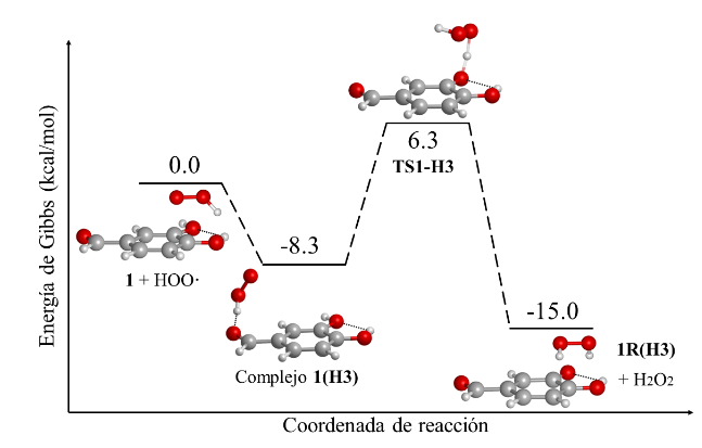 FIGURA 5.