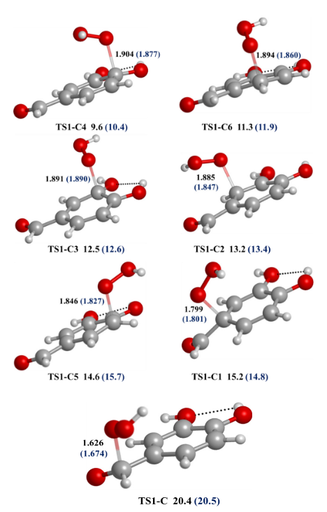 FIGURA 7.