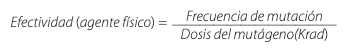 FGF