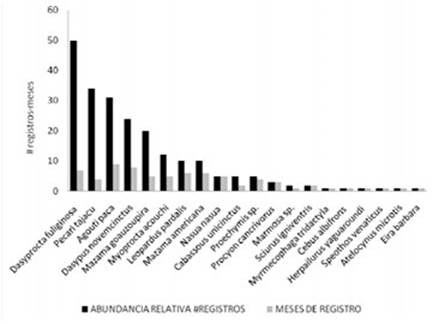 Abundancia relativa total de registros y variaci&oacute;n mensual estacional total de meses con registros de las especies de mam&iacute;feros en tierras Secoya