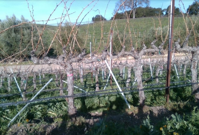 Fig. 2