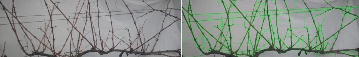 Fig. 4.