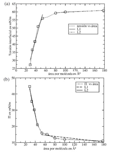Figura 5