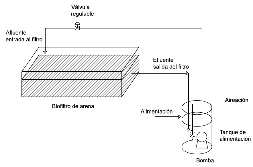 Esquema del
biofiltro para purificaci&oacute;n de efluentes de las Lagunas 4 y 5.