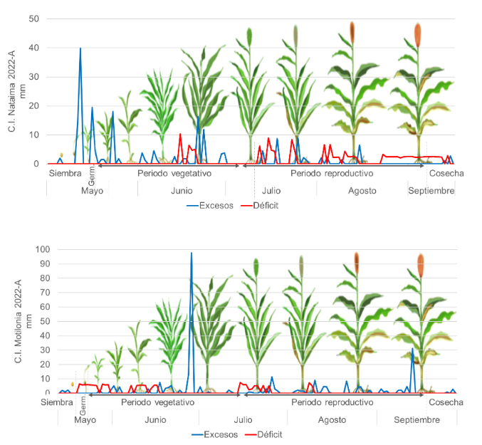 Balance hídrico del ensayo de retardantes de crecimiento de sorgo en el C.I. Nataima y el C.I. Motilonia durante ciclo fenológico del cultivo en el primer semestre del 2022