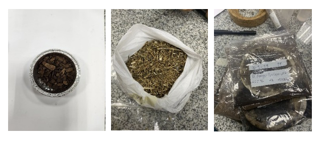 Banana biochar rose plantation residue mango endocarp hydrochar left to right