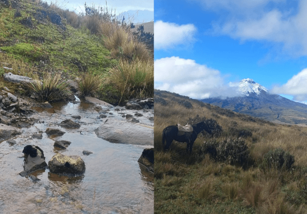 Páramos de la zona alta de la microcuenca del río Pita