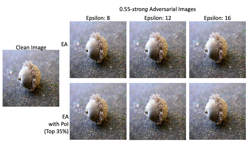 Visual quality of the low-resolution adversarial images generated with EA alone and with PoI guidance (using the top 35% of the most relevant pixels) in the LR domain for epsilon values 8, 12, and 16
