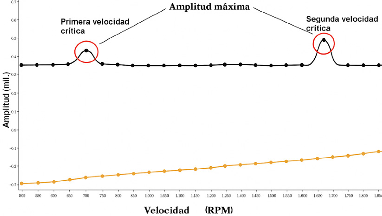 Inestabilidad del rotor.