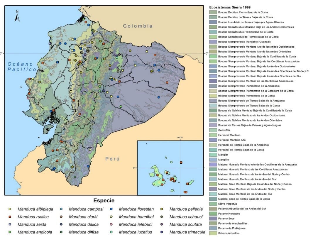 Distribución del género Manduca en ecosistemas según Sierra [12] . Distribución geográfica de dieciséis especies del género Manduca en Ecuador. Cada especie está representada por un punto en el mapa, indicando su presencia en los ecosistemas.