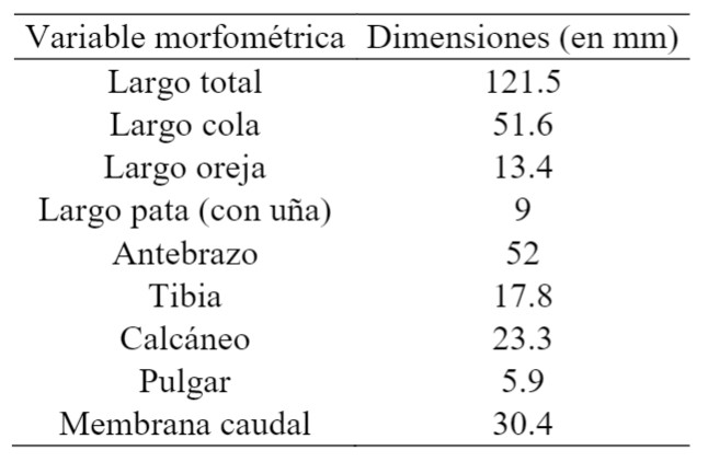 Tabla 1