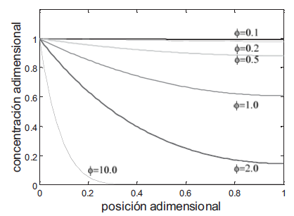 Soluci&oacute;n gr&aacute;fica de la ecuaci&oacute;n diferencial del ba lance de masa en el poro