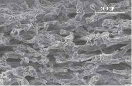 Micrograf&iacute;as con SEM de las cer&aacute;micas biom&oacute;rficas de SiC obtenidas con el sistema SiCl4H2