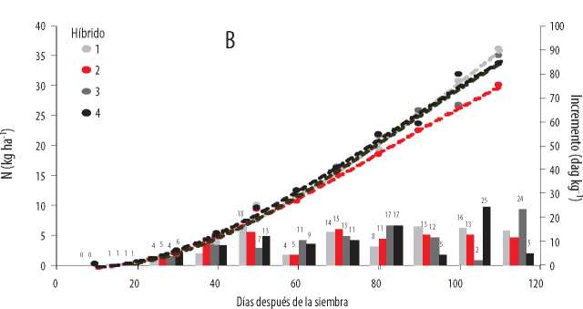 Acumulación
total (kg ha-1) e incremento de absorción de P (dag
kg-1) en la época seca (B) del 2016, en cuatro híbridos promisorios
de maíz, en función de la edad.