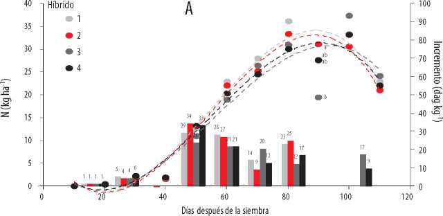 Acumulación
total (kg ha-1) e incremento de absorción de Mg (dag
kg-1) en la época lluviosa (A) del 2016, en cuatro híbridos
promisorios de maíz, en función de la edad.