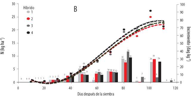 Acumulación
total (kg ha-1) e incremento de absorción de Mg (dag
kg-1) en la época seca (B) del 2016, en cuatro híbridos promisorios
de maíz, en función de la edad.
