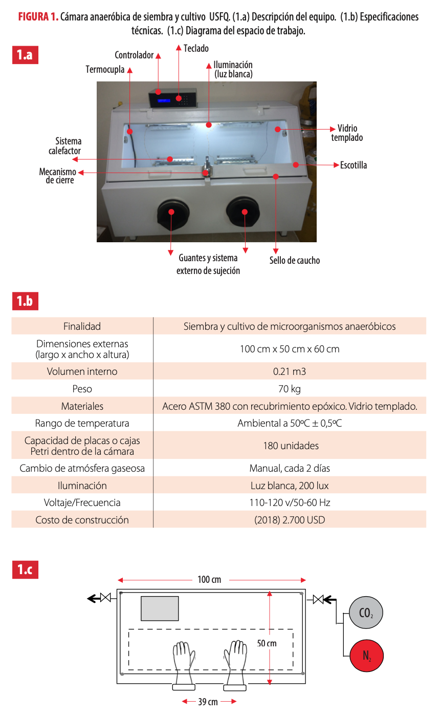 FIGURA 1