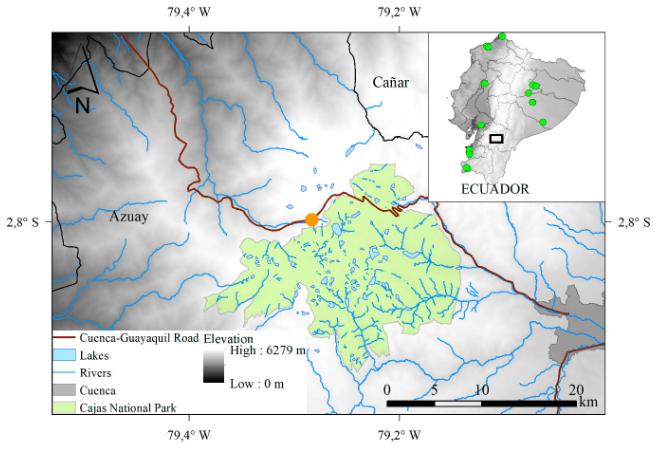 FIGURE  1.