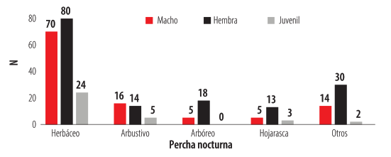 Figura 5. 