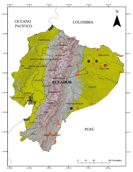 Figura
1
