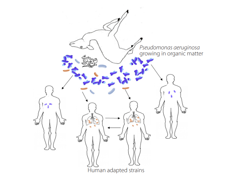 Figure 1.