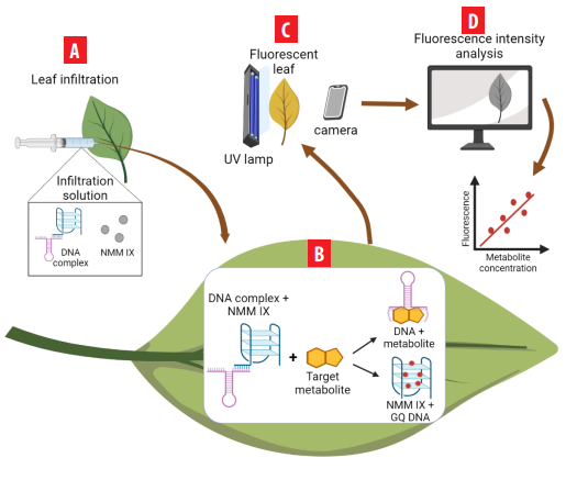 Figure 1.