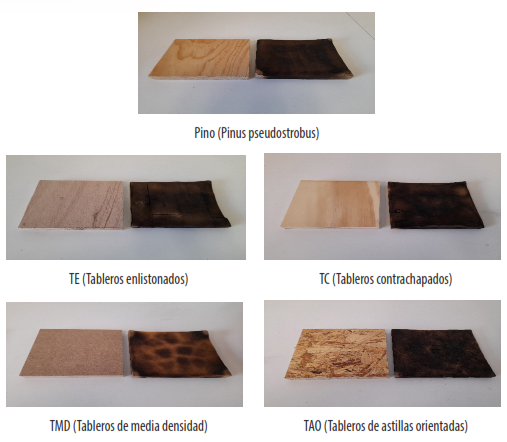 Figura  2.