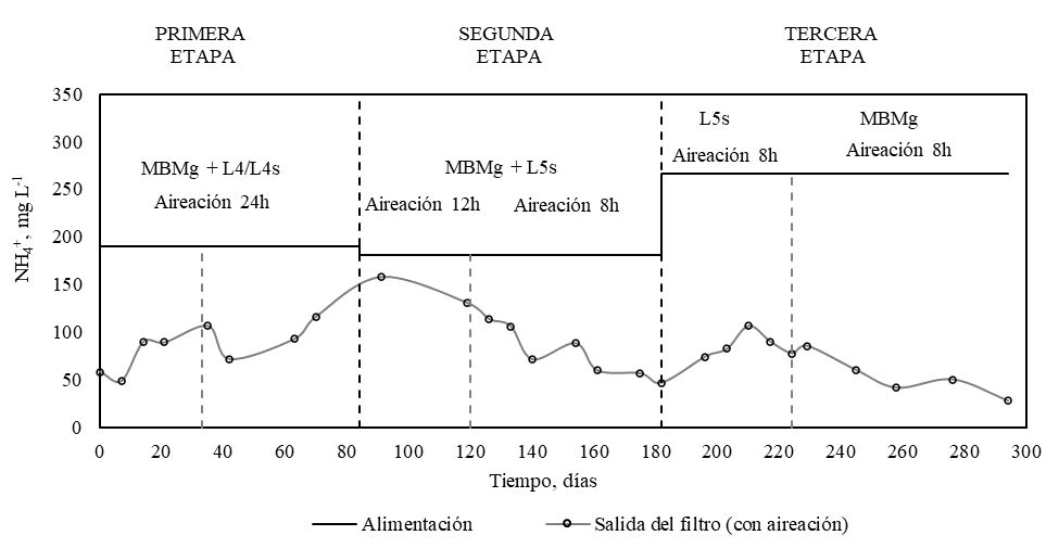 Concentración
de amonio en función del tiempo durante la etapa de aireación. Leyenda: (-)
alimentación con MBMg y L4/L4s/L5s, ( ) salida del filtro (con
aireación).