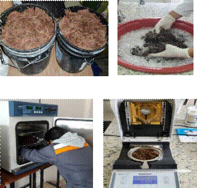 Obtención, limpieza, secado y análisis de humedad de la fibra de eucalipto. a. Obtención de la fibra b. Limpieza de la fibra c. Secado de la fibra d. Análisis de humedad de la fibra